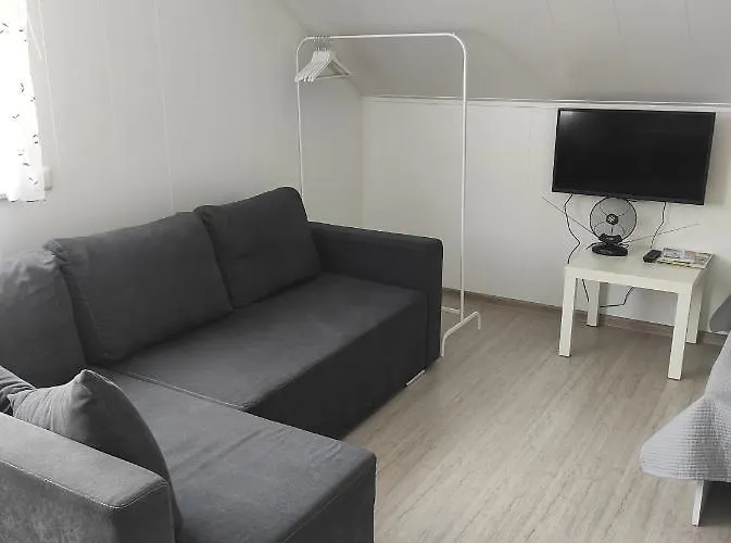 Atostogu Namai 3* Druskininkai